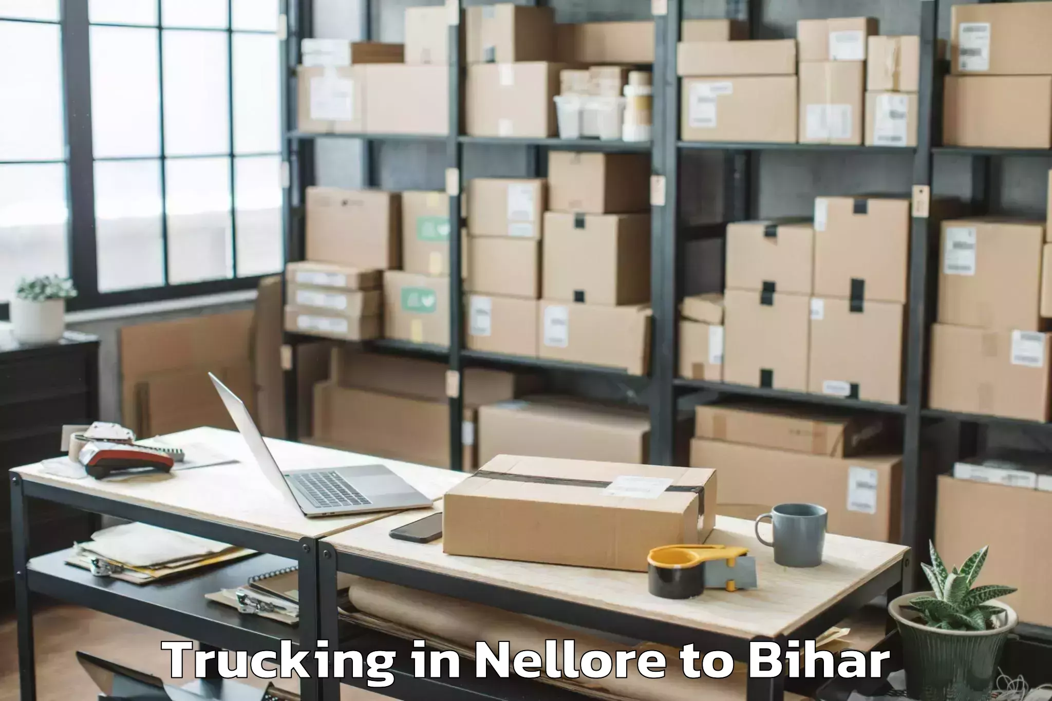 Book Nellore to Laheriasarai Trucking Online